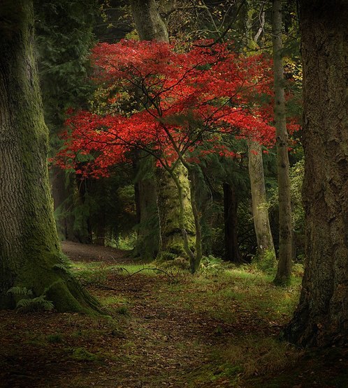 Shining a light on the path Whats important